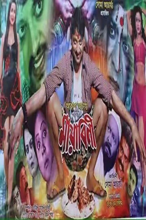 Постер: মায়াবিনী