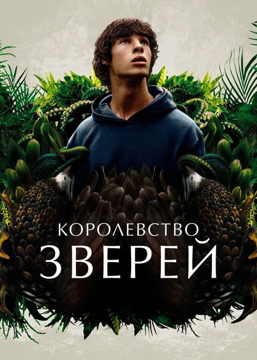 Постер 5