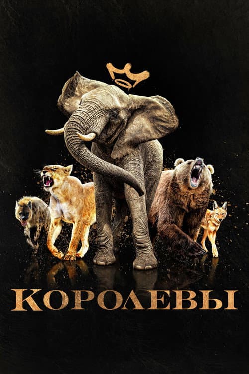 Кадр 2