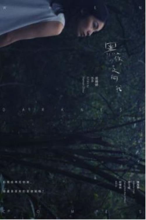 Постер: 黑夜走向我