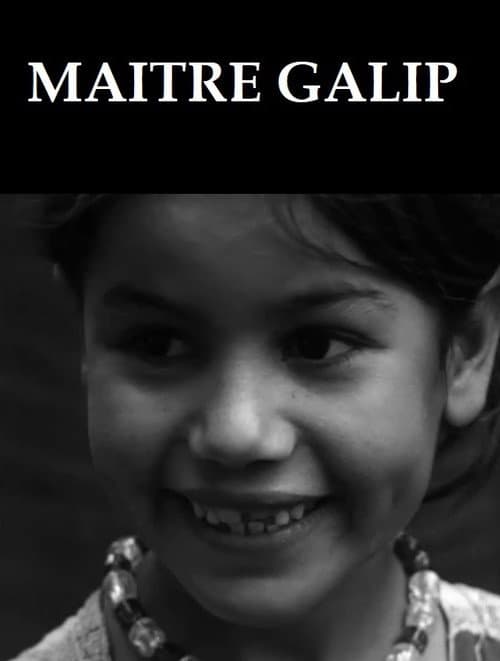 Постер: Maître Galip