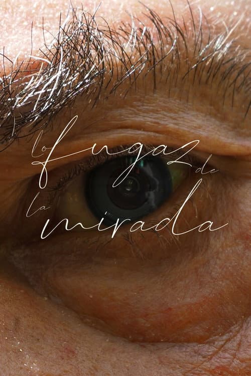 Постер: Lo Fugaz de la Mirada