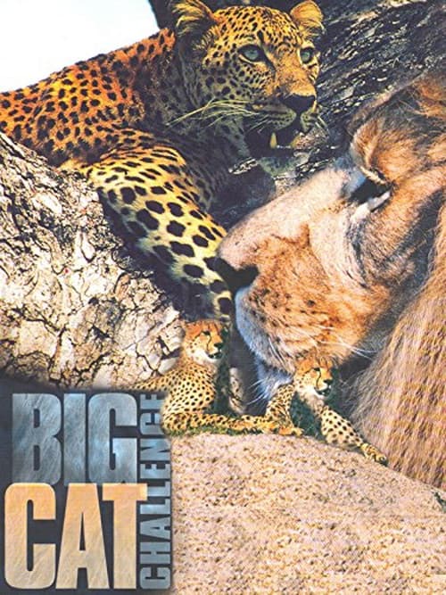 Постер: Big Cat Challenge