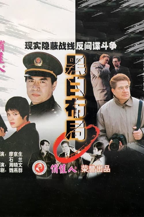 Постер: 黑白布局