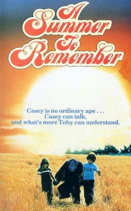 Постер: A Summer to Remember