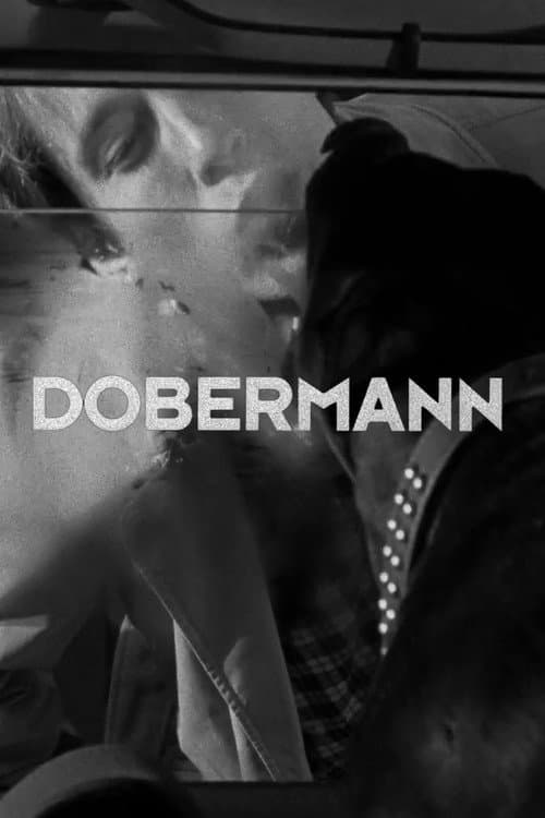 Постер: Dobermann