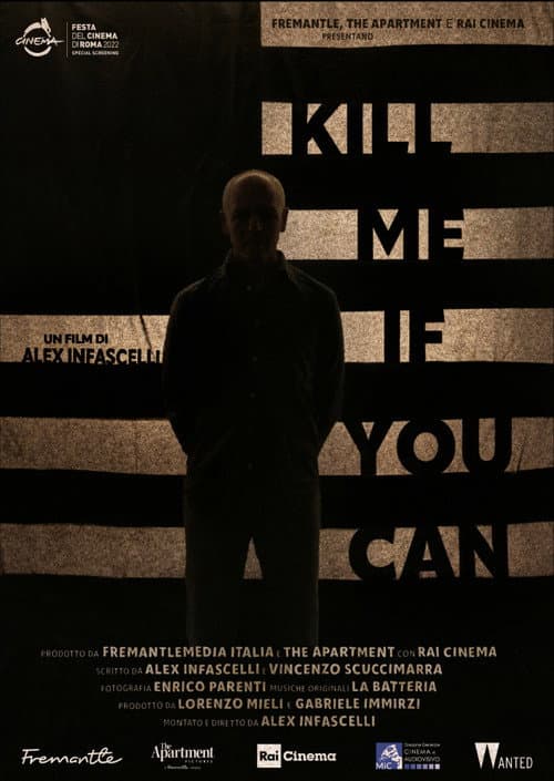 Постер: Kill Me If You Can