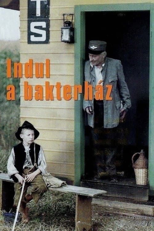 Постер: Indul a bakterház