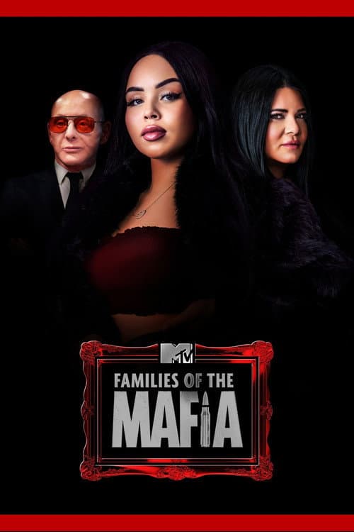 Постер: Families of the Mafia