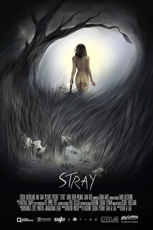 Постер: Stray