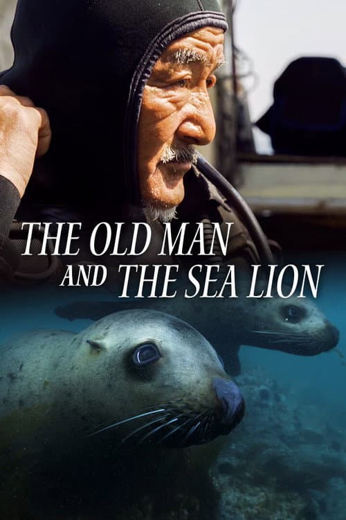 Постер: The Old Man and the Sea Lion