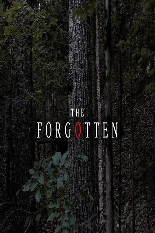 Постер: The Forgotten