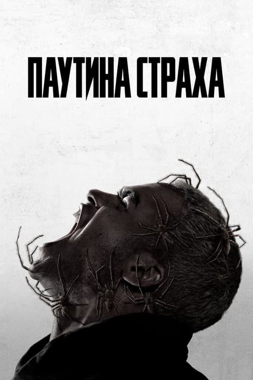 Постер: Паутина страха