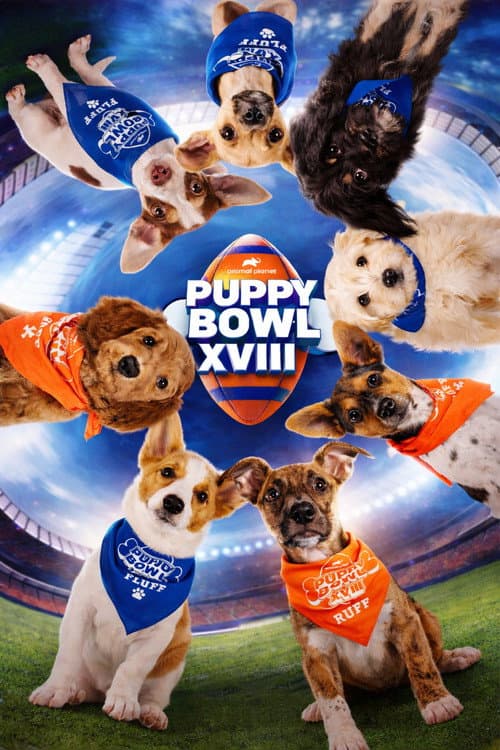 Постер: Puppy Bowl XVIII