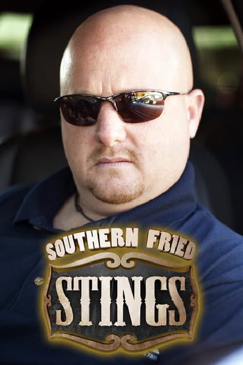 Постер: Southern Fried Stings