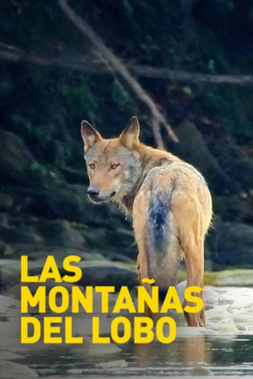 Постер: Las montañas del lobo