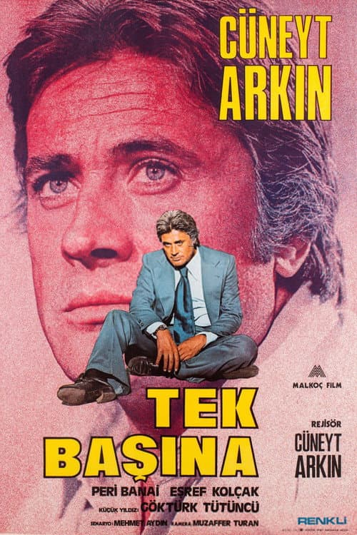 Постер: Tek Başına