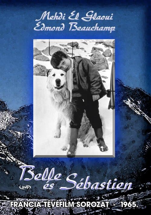 Постер: Belle et Sébastien