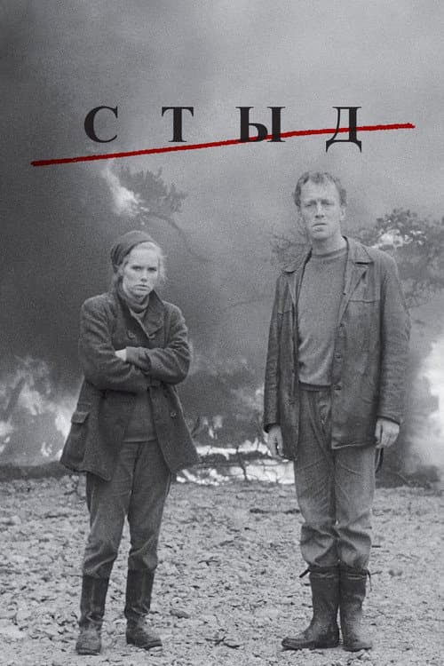 Постер: Стыд