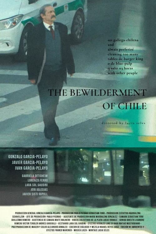 Постер: The Bewilderment of Chile