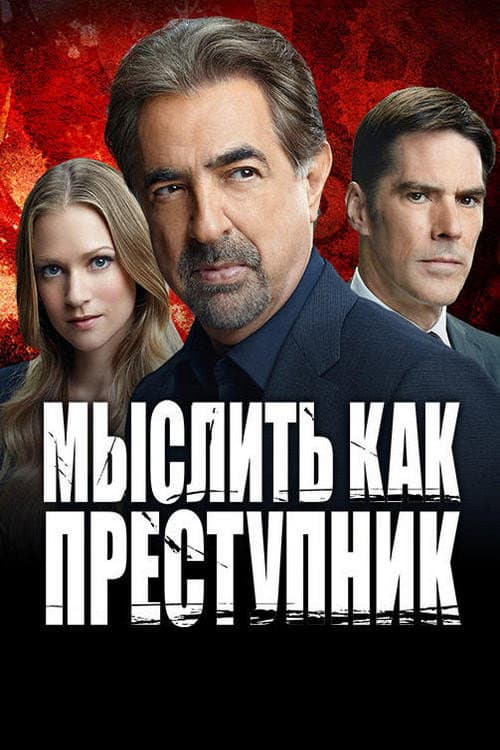 Кадр 7