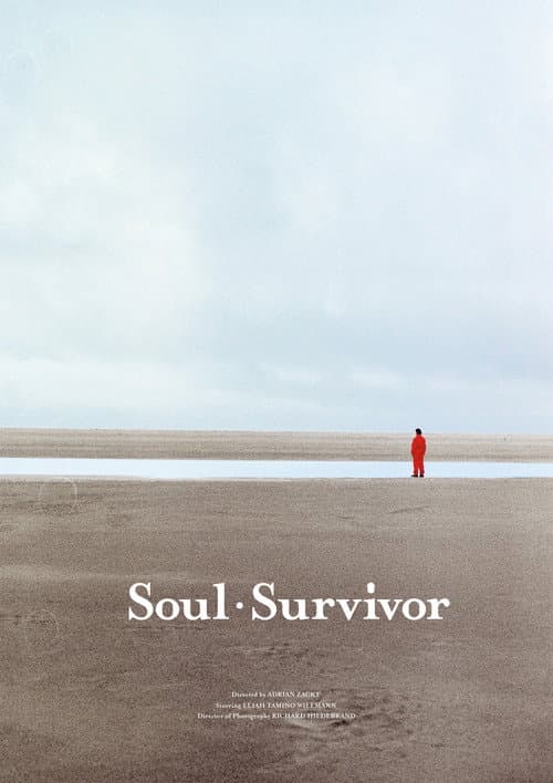 Постер: Soul Survivor