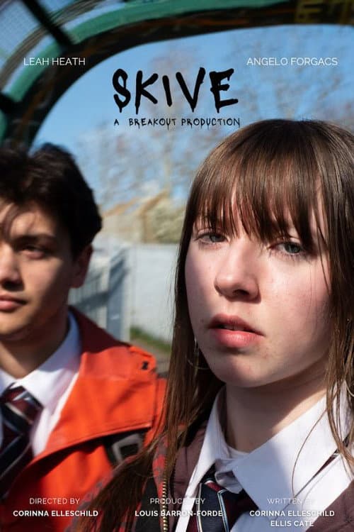 Постер: Skive