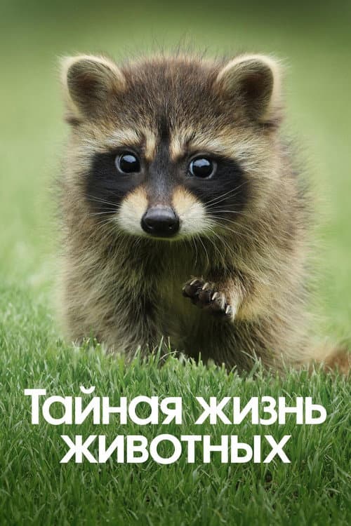 Кадр 3