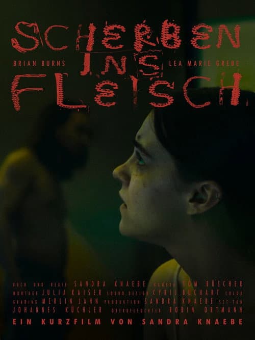 Постер: Scherben ins Fleisch