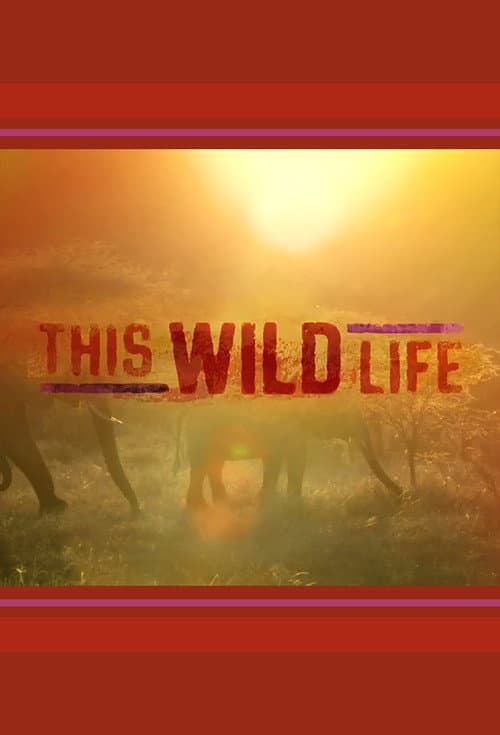 Постер: This Wild Life