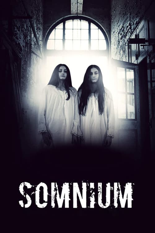 Постер: Сомниум