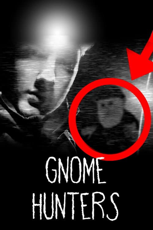 Постер: Gnome Hunters