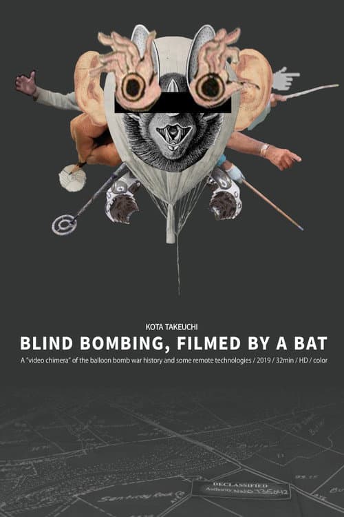 Постер: Blind Bombing, Filmed by a Bat