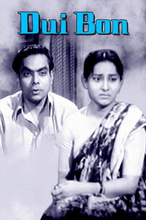 Постер: দুই বোন