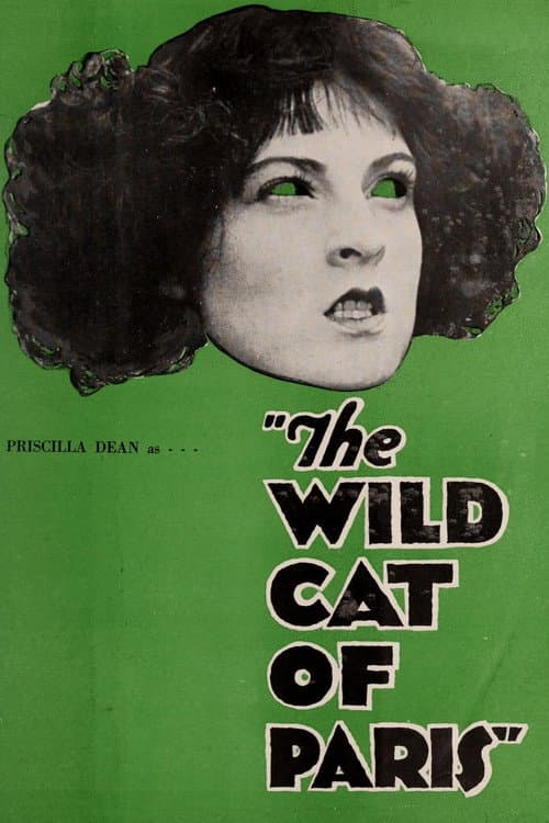 Постер: The Wildcat of Paris