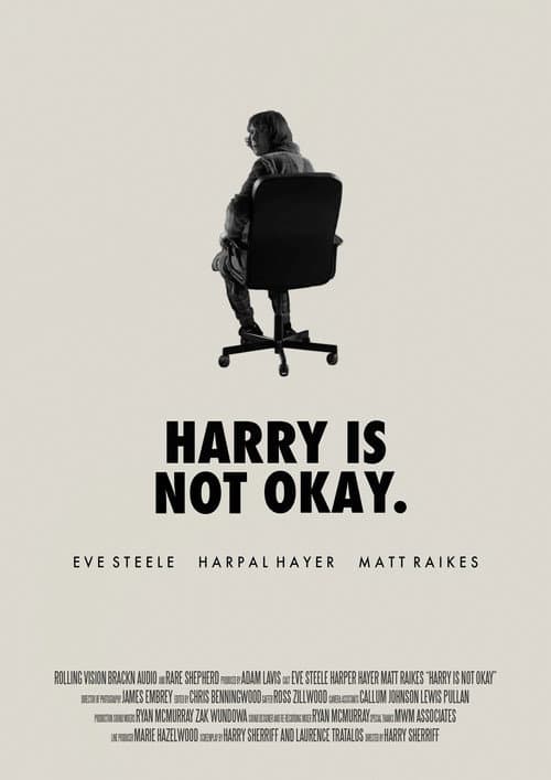Постер: Harry Is Not Okay