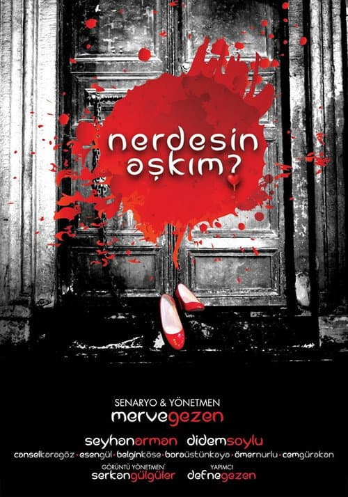 Постер: Nerdesin Aşkım?