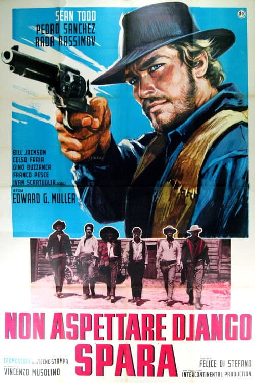 Постер: Non aspettare Django, spara