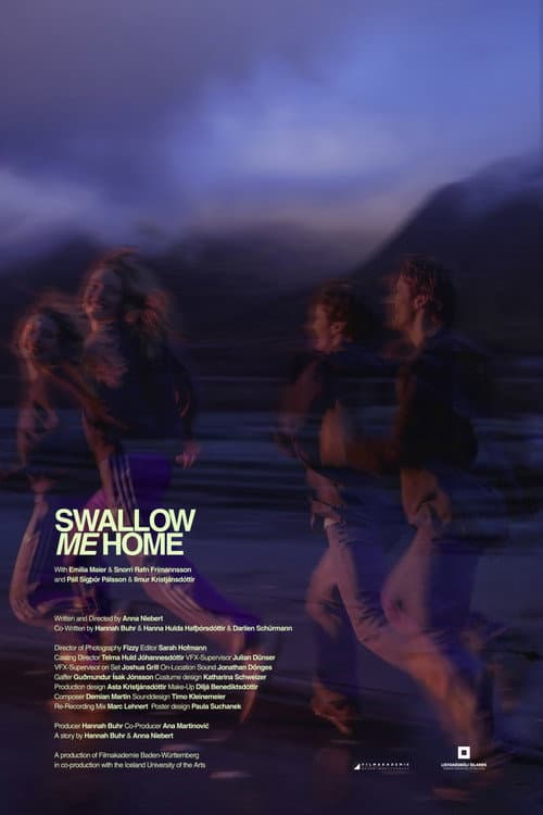 Постер: Swallow me home