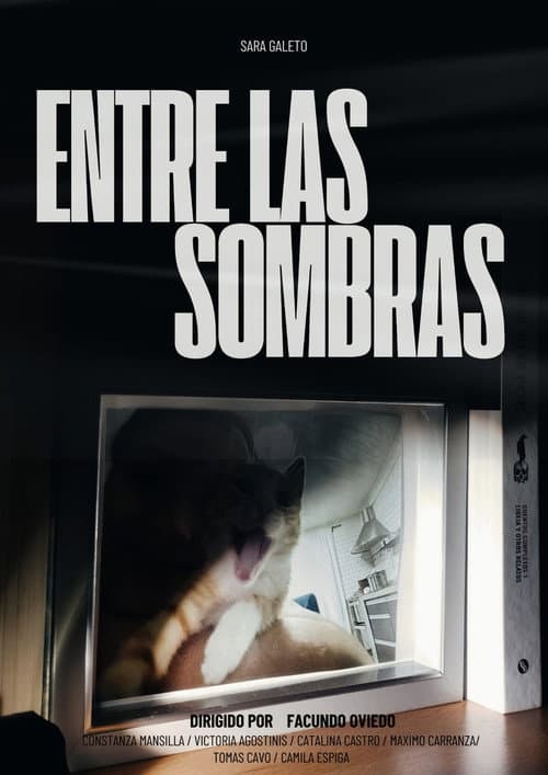 Постер: Entre las sombras