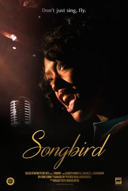 Постер: Songbird