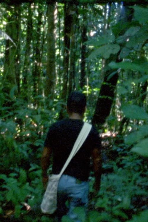 Постер: El Laberinto
