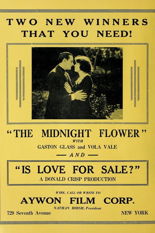 Постер: The Midnight Flower