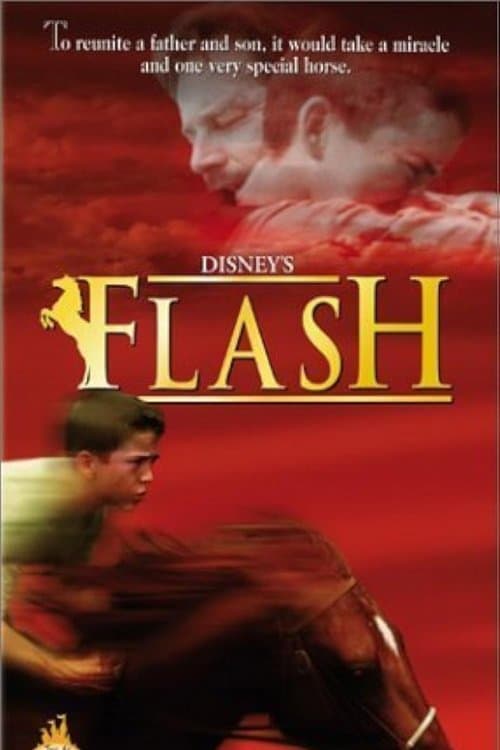 Постер: Flash