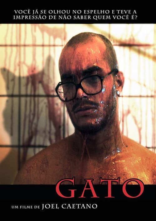 Постер: Gato
