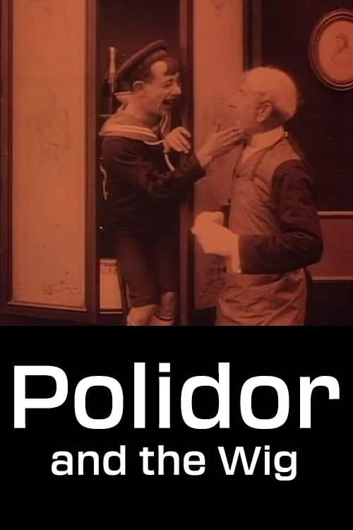 Постер: Polidor e la parrucca