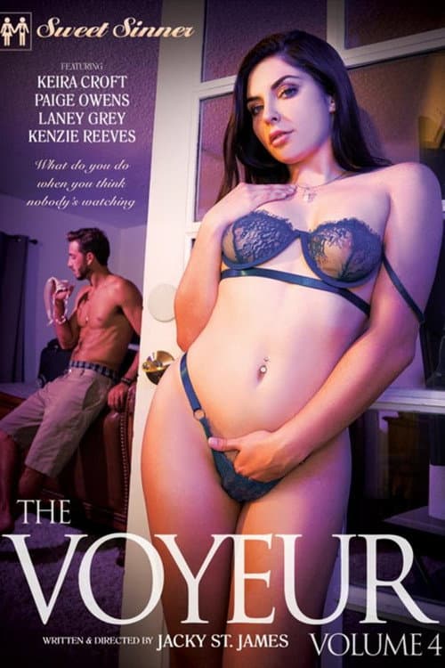 Постер: The Voyeur 4