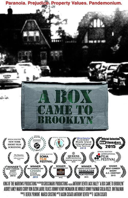Постер: A Box Came to Brooklyn