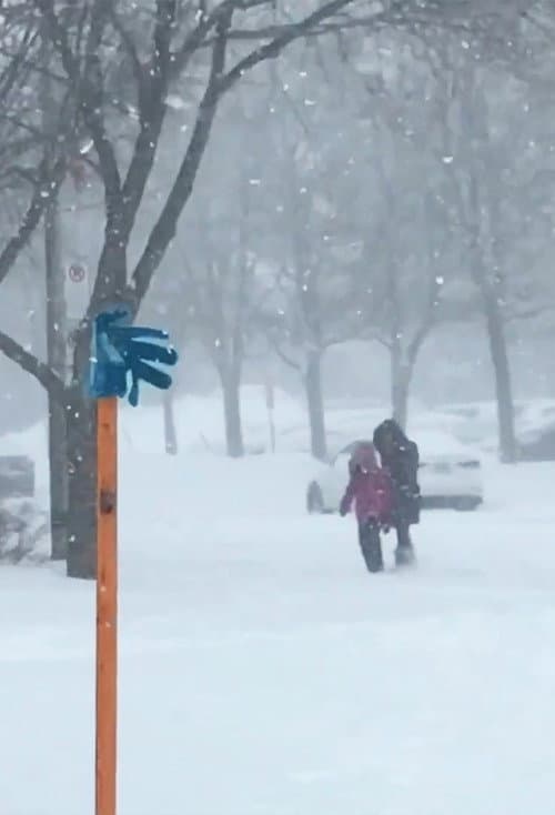 Постер: Tormenta de nieve