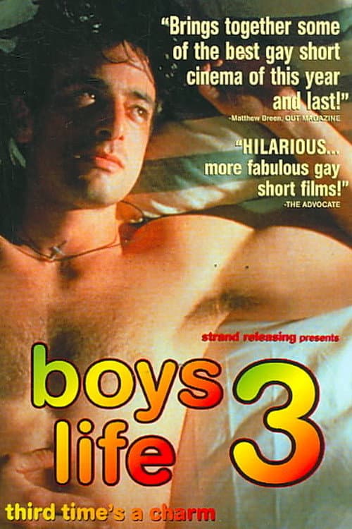 Постер: Boys Life 3